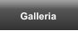 Galleria